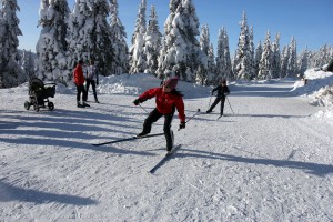 img_2122.jpg